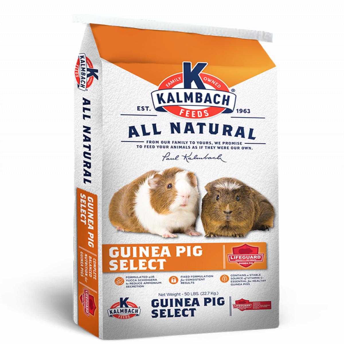 Kalmbach Guinea Pig Select