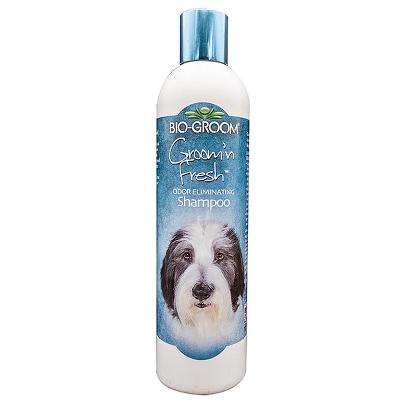 Bio-groom Shampoo Groom N' Fresh 12OZ