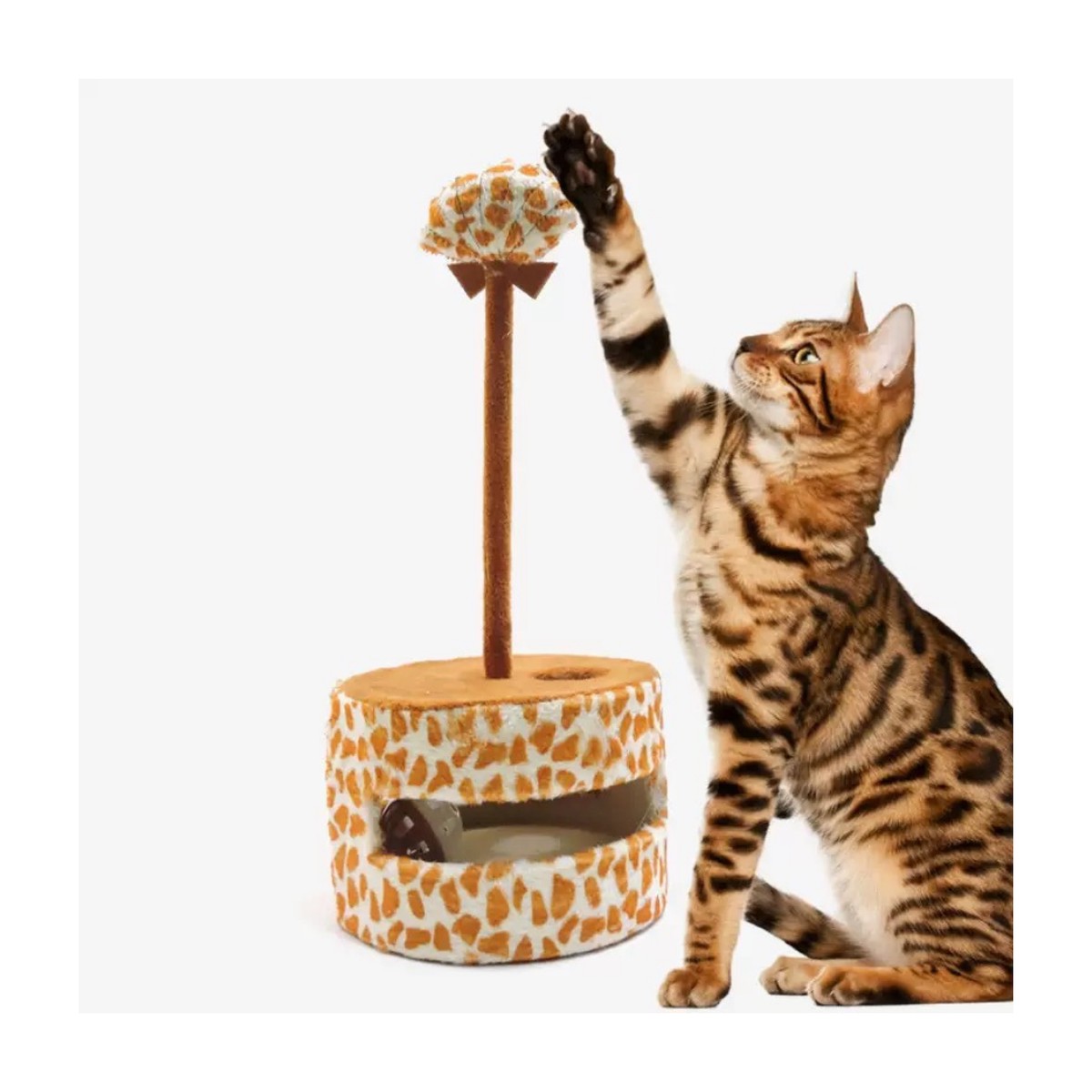 (Circular) Super Flexible Fabric+Spring+High-Density Board+Plastic Ball